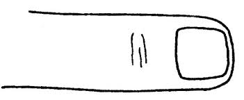 Aku tidak tinggal diam dan segera menyambut sapuan lidah sandi dan menyedotnya dengan keras air liur sandi, kulilitkan lidahku menyambut lidah sandi dengan penuh. Jari Jari Yang Tidak Disengajakan Di Tangan Gadis Gadis Ibu Jari Apa Yang Akan Memberitahu Lengkung