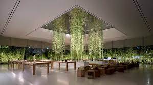 Green Atrium Of The New Apple Store In Macau 2364 X 1330 Roomporn Apple Store Design Atrium Design Interior Garden
