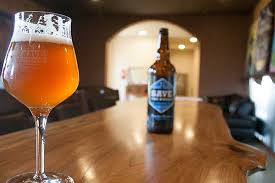 So you've gone camping with your pals and after hiking a beautiful, long trail, it's sundown and you decide to unwind with a nice fire and a couple of beers. Save The World Brewing Co Holding Tasty Grand Opening