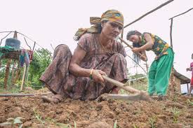 $15.2 billion in research and innovation investments can put global climate  and hunger goals within reach