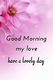 Love romantic flowers good morning quotes. 50 Best Love Good Morning Quotes Messages Morning Wishes Tiny Positive