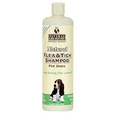 Natural Chemistry Flea Flea Shampoo For Dogs Ticks On Dogs Flea And Tick