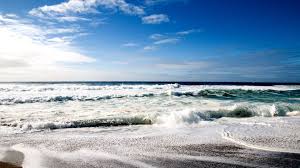 We did not find results for: Quotes In French On A Beach Background Happy First Day Of Summer Quotes Wallpapers Background Beach Dogtrainingobedienceschool Com