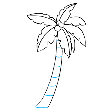 However, you can draw a palm tree much quicker and have it finished in less than 5 minutes. How To Draw A Palm Tree Really Easy Drawing Tutorial