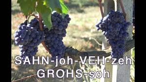 I think sangiovese is fantastic in all forms. How To Pronounce Italian Wine Sangiovese