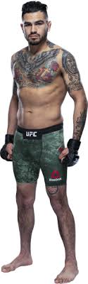 Ufc welterweight champion kamaru usman vs. Ufc 258 Usman Vs Burns Ufc