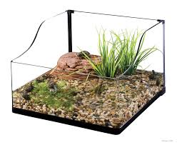 Exo Terra Turtle Terrarium 18x18x8 12 Terrarios Acuario Para Tortugas Peceras Para Tortugas
