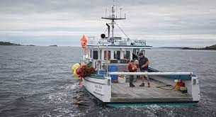 A troubled man suddenly finds himself laden with responsibility following the sudden death of his older brother. Manchester By The Sea Film Review Spirituality Practice