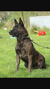 Theodore Scaife (segun2ken3bella)