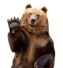 Interactive Endangered Species Map Nature And Environment Mother Earth News Brown Bear Bear Animals