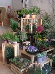 55 Ideas Flowers Shop Design Interiors Plants Flower Shop Decor Flower Shop Design Flower Shop Interiors