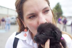 Rescue animals find new homes for the holidays