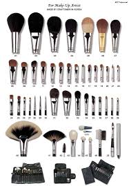A Chart Of Each Different Type Of Makeup Brush Beauty