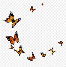 Flying butterfly clipart transparent background. Transparent Background Butterfly Png Png Download Flying Butterflies Transparent Background Clipart 5615337 Pinclipart