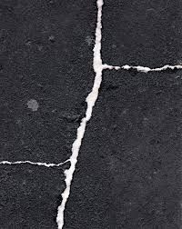 Bildergebnis für Maria Laet