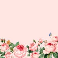 Beautiful pink peony flower background. Flower Wallpaper Pink Background