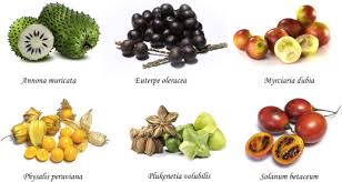 Image result for Annona muricata