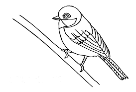 Download and print for free. Sparrow Coloring Pages Dibujo Para Imprimir Sparrow On Branch Coloring Page Dibujo Para Imprimir