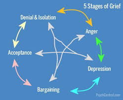 the 5 stages of grief loss