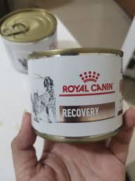 Royal canin veterinary diet canine and feline recovery canned is a high energy wet critical care diet formulated for both canine and feline critical care patients, including puppies and kittens. Royal Canin Recovery Wet Food Pet Supplies Pet Food On Carousell