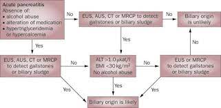 Diagnosis, prognosis and treatment tonsi a.f., bacchion m., crippa s. Etiology And Diagnosis Of Acute Biliary Pancreatitis Nature Reviews Gastroenterology Hepatology