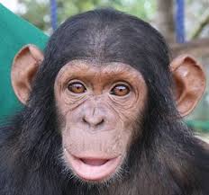 Lea Elliott (@leanna253)