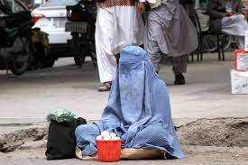 We did not find results for: Le Donne Ai Taleban Vogliamo Diritti E La Risposta E La Violenza
