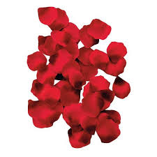Nous vous accueillons tous les jours de la semaine au pied du luberon, dans notre magasin du 42 bd st roch à la tour d'aigues,. Lit De Roses Petales De Rose Parfumes A 2 98