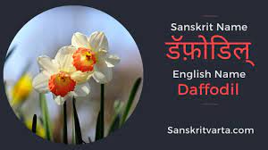 50 List Of Flowers Name In Sanskrit Language And Hindi With Pictures Sanskrit Learnsanskrit Sanskritvarta Sanskrit List Of Flowers Flowers Name In English