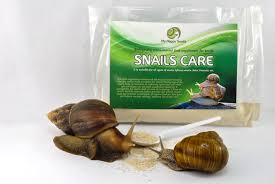 Snails Care Natural Food Supplement For Snails Snail Feed My Happy Snails New Pet Snails Natural Food Supplements Snail