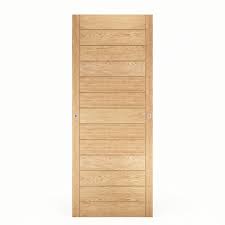 Porte De Placard Coulissante Spaceo L 97 5 X H 250 Cm Placard Coulissant Porte Placard Coulissante Porte Placard