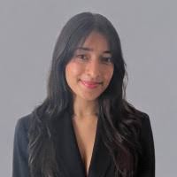 200+ "Luitel" profiles