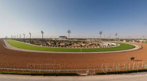 Amazon.co.jpがおすすめするギフトを、贈る相手の趣味 favoto バイクカバー 2.5ｍ防風ベルト付き ワンタッチバックル前後付き 反射ストライプ３枚 uvカット 高防風 防埃 防雨 防雪 丈夫 盗難防止 ア. ãµã¦ã¸ã«ãã ãµã¦ã¸ã«ãããã¼ä¸­ç¶æå ± Youtubeã¬ã¼ã¹éä¿¡ãã Umas