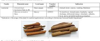 Until the 1960s, vietnam was the world's most important producer of saigon cinnamon (c because of the disruption caused by the vietnam war, however, production of c. Effect Of Cinnamomum Burmannii Nees Ex Bl And Massoia Aromatica Becc Essential Oils On Planktonic Growth And Biofilm Formation Of Pseudomonas Aeruginosa And Staphylococcus Aureus In Vitro Semantic Scholar