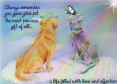 Maryjane is a 1997 graduation of auburn university college of veterinary medicine. 140 Rainbow Bridge Ideas Pet Loss Rainbow Bridge Pet Loss Grief