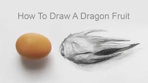 How To Draw A Dragon Fruit Step By Step Pencil Sketch Dragon Fruit Drawing Youtube Alibaba.com offers 6,387 pencil drawing products. how to draw a dragon fruit step by step pencil sketch dragon fruit drawing