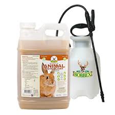 Amazon.Com: Bobbex Animal Repellent Ready-To-Use Outdoor Rabbit, Squirrel,  And Chipmunk Repeller Spray (32 Oz.) B550125 : Patio, Lawn & Garden