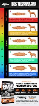 determine your dogs condition score canine weight chart