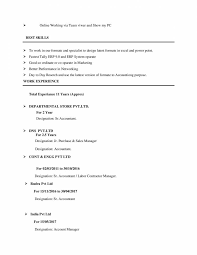 Some experience in public accounting. Experienced Accountant Resume Format In Word
