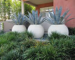 Jardin de ville vous propose une gamme complète de mobilier et accessoires d'extérieur. Agave Groove Pots Design Avec Les Plantes L Avenir De L Horticulture Ornementale Deco Jardin Idees Jardin Amenagement Jardin