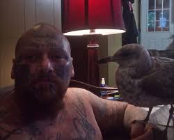 Southern California Buzztail Preservation