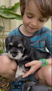 Still looking for a beautiful name for her..😍😍❤️