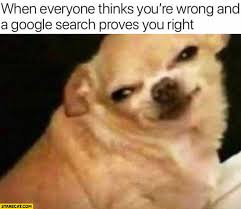 When Everyone Thinks You Re Wrong And A Google Search Proves You Right Dog Starecat Com