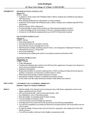 Tailor your resume by picking relevant responsibilities from the examples below and then add. Sap Resume Samples Velvet Jobs Cute766