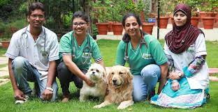Homeguide's trusted pros are the absolute best for animal care services near you. Our Team Animal Care Clinic