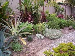 To begin with, its barrier helps preventing the flood to wreck the harvest. Succulents Small Garden Front Yard Australian Garden Design Australian Garden