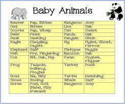 Free Baby Shower Game Free Baby Shower Games Free Baby Shower Baby Animal Games