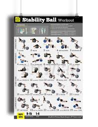 Buy Aww Cbbcl Body Ball Exercises Wall Charts Core In