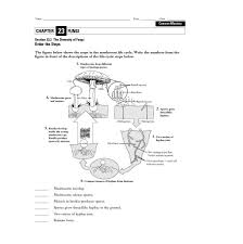 The Diversity Of Fungi 9th Higher Ed Worksheet Apologia Biology Fungi Lesson Planet