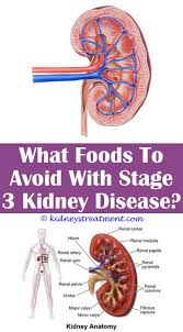 Pin On What Is Kidney Disease